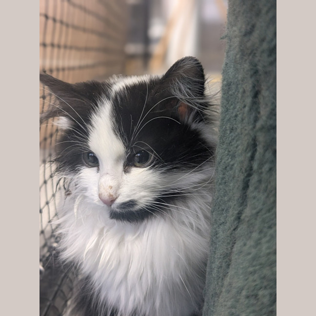 Photo of 🌾 Weetbix 5823 🌾