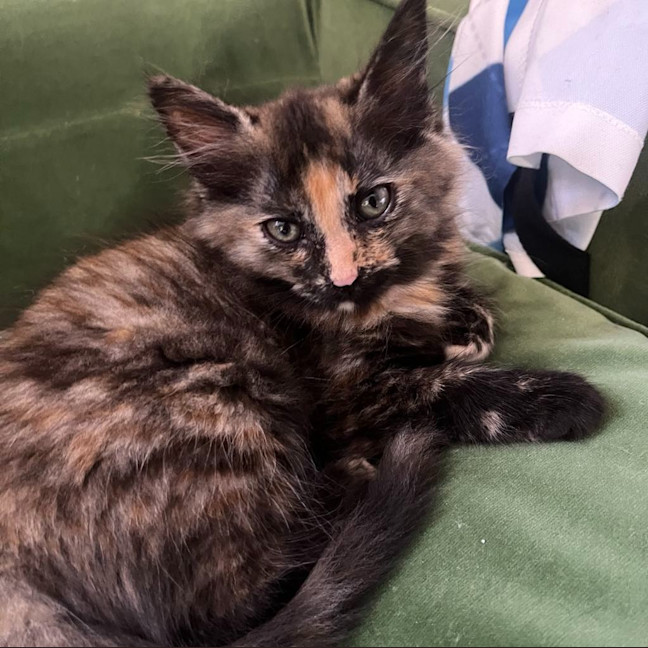 Photo of Patsy