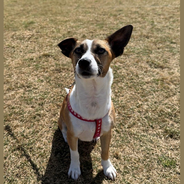 Photo of Lillie Uffelman