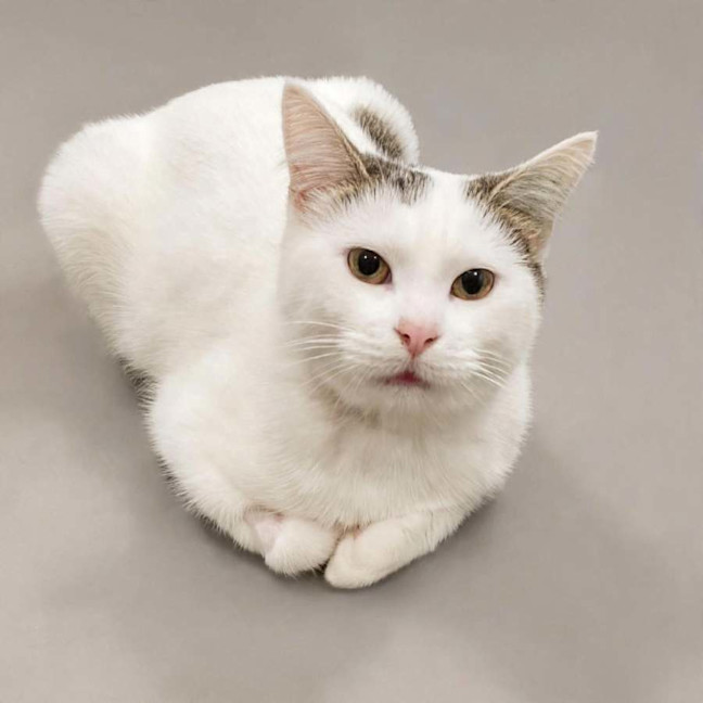 Photo of Princess