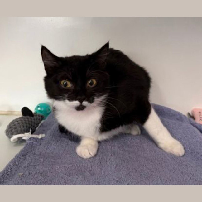 Photo of Kiki