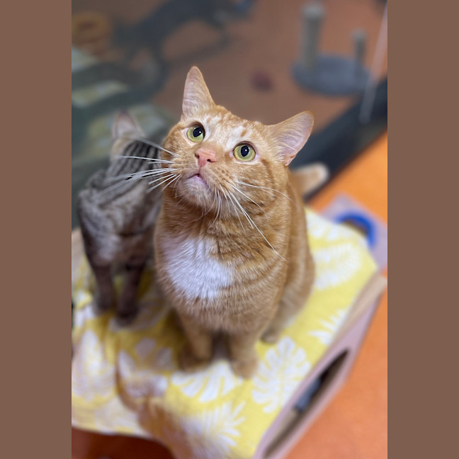 Photo of Butters