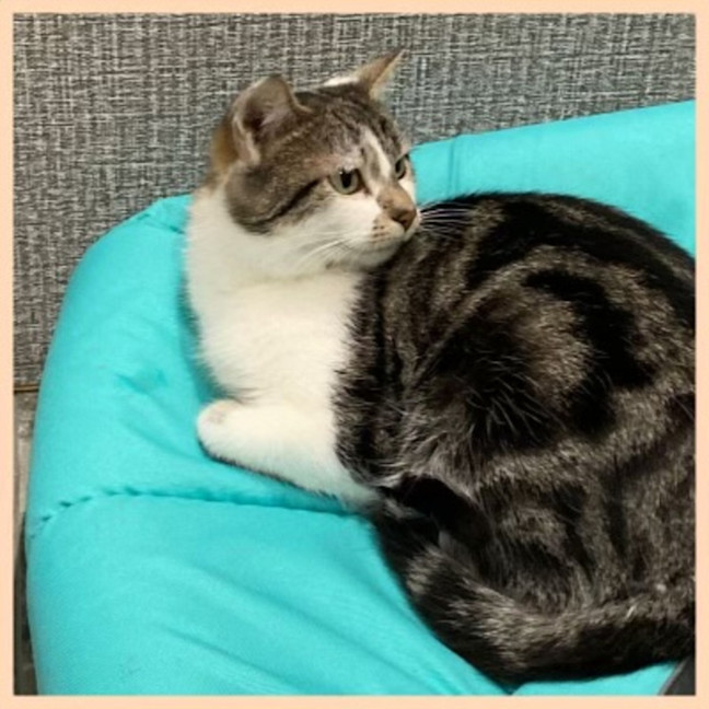 Photo of Edna