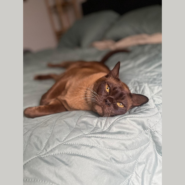 Photo of 🪕Banjo🪕