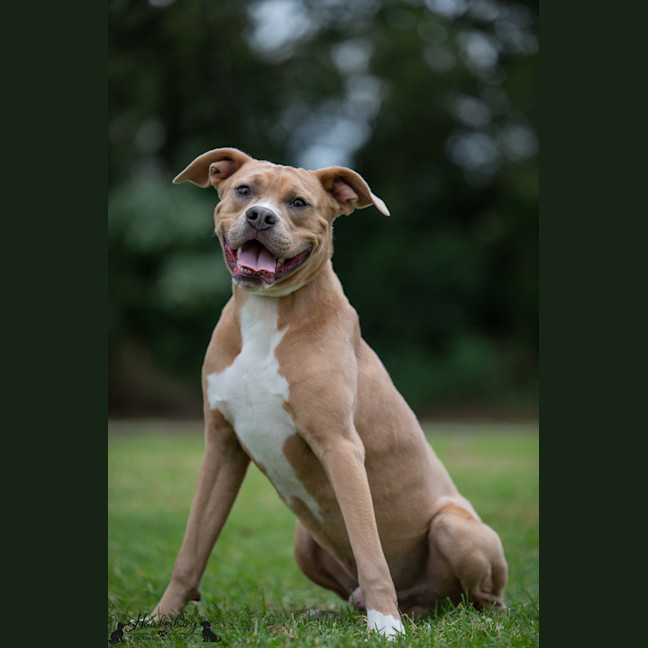 Photo of Scoob