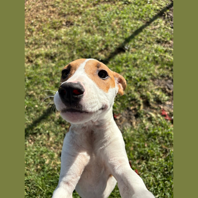 Photo of Bonnie