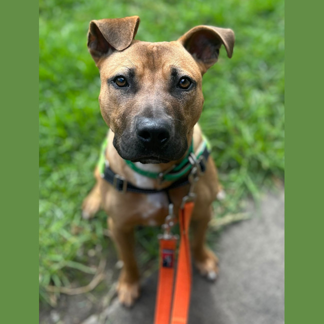 Photo of Tank