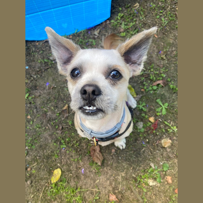 Photo of Eddie