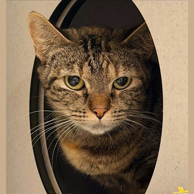 Photo of Nora