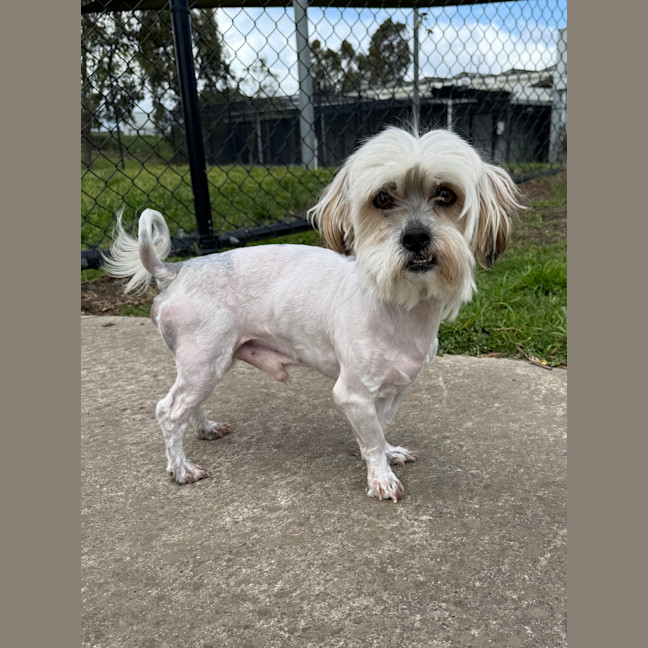 Photo of Tiny 