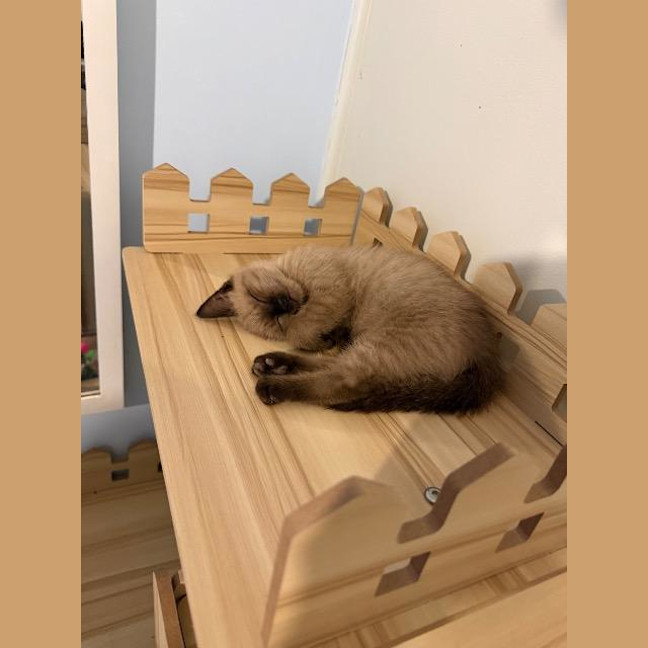 Photo of Latte