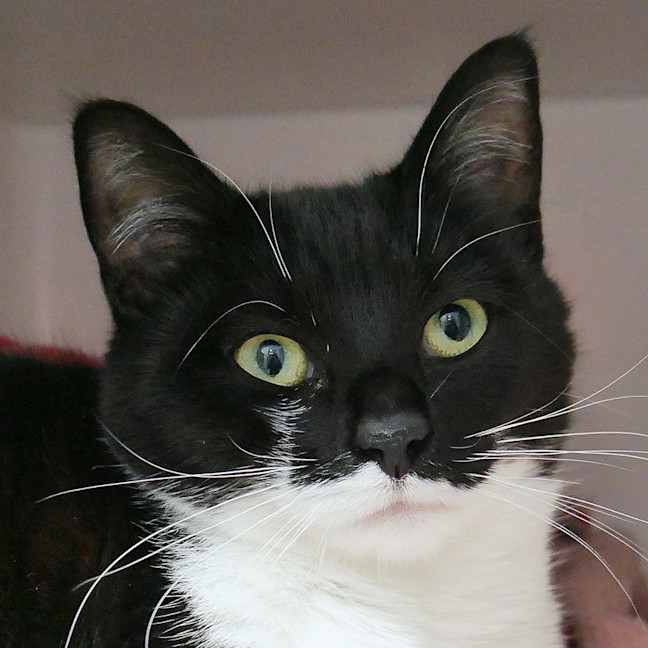 Photo of Lily Rsuk013985