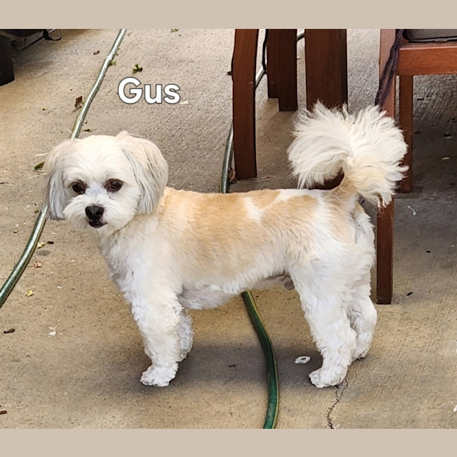 Photo of Gus