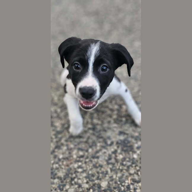 Photo of Harper