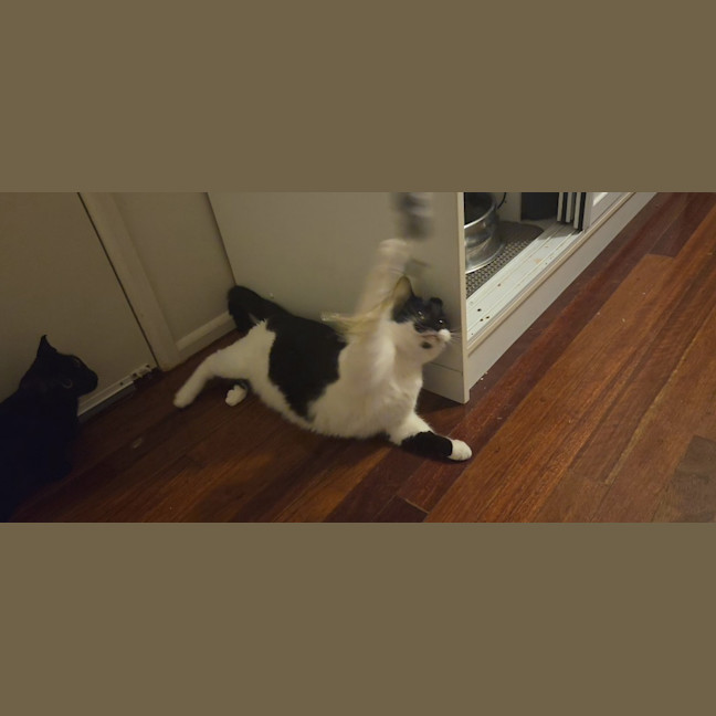 Photo of Angel