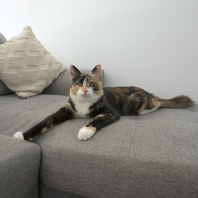 Photo of Jenny 