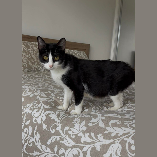 Photo of Cleo