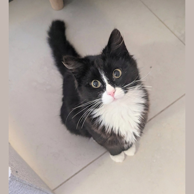 Photo of Boba