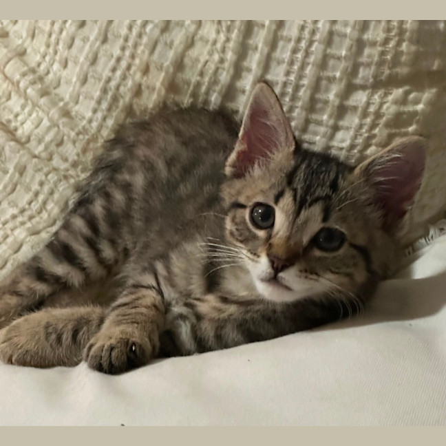 Photo of Luka 😻