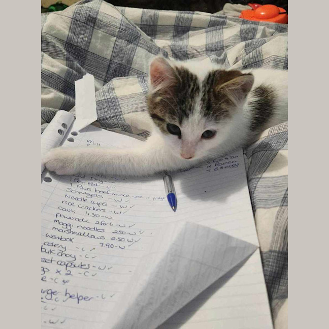 Photo of Johnny   Super Friendly