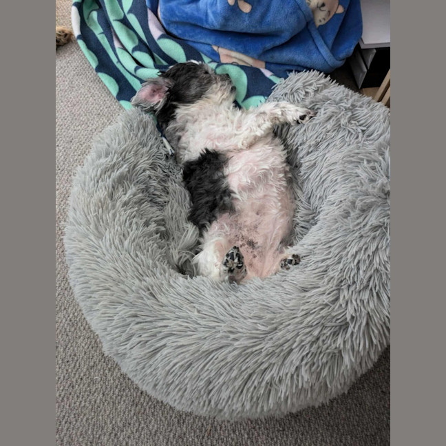 Photo of Molly