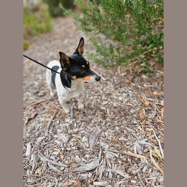 Photo of 🍣 Wasabi 5833 🍣