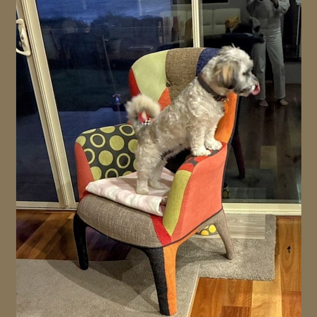 Photo of Maggie