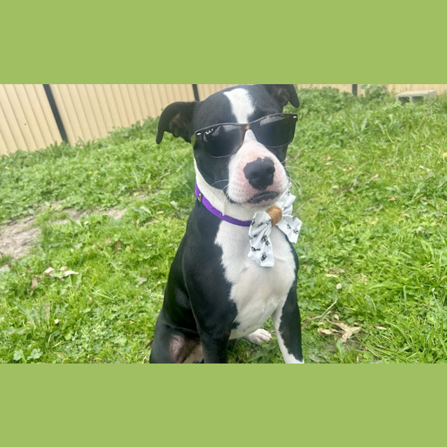 Photo of Jack
