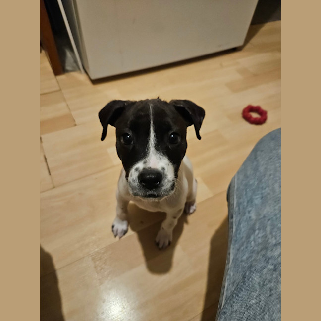 Photo of Dorothy Anne