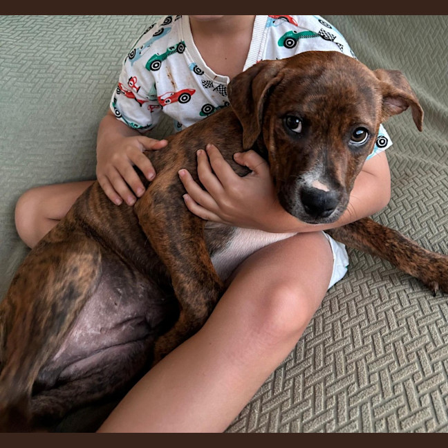 Photo of Cosmo
