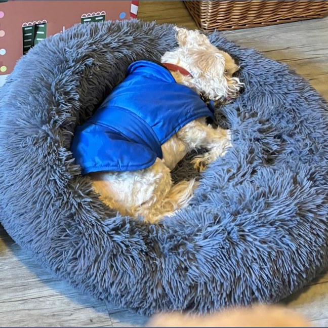 Photo of Honey