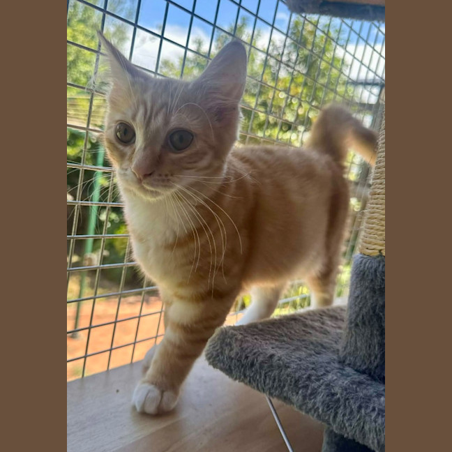 Photo of Tilly Torrens