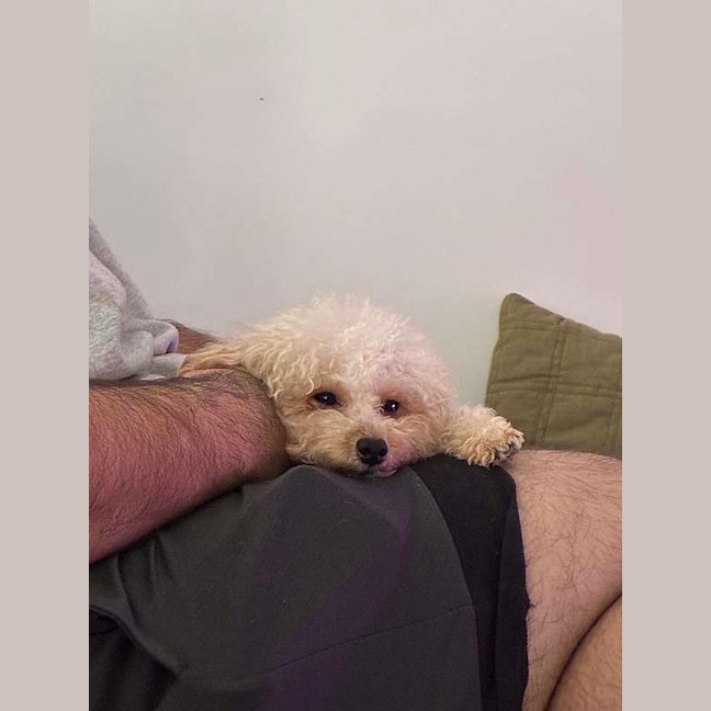 Photo of Dolly