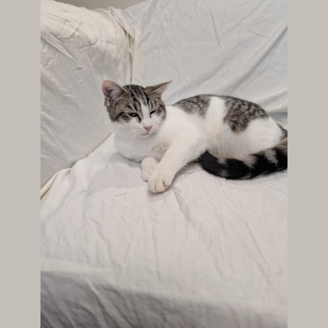 Photo of Ernie