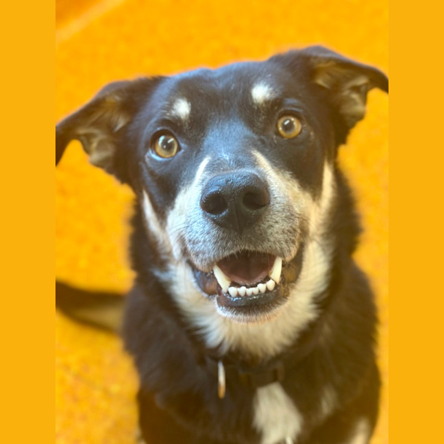 Photo of Spirit
