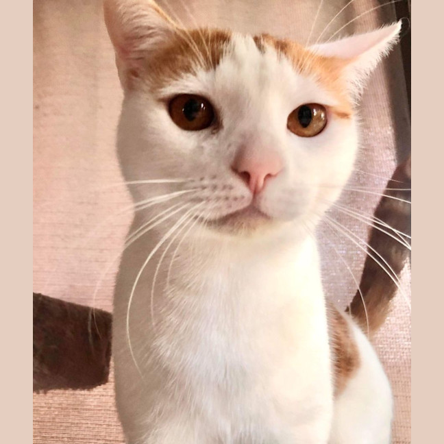 Photo of Jasper