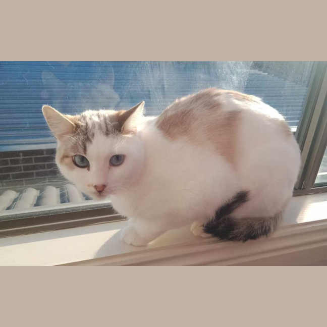 Photo of Misty