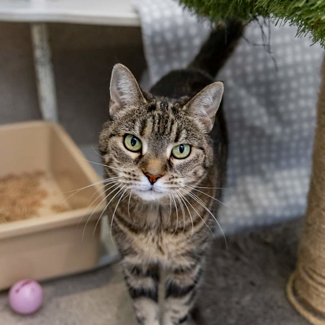 Photo of Cleo