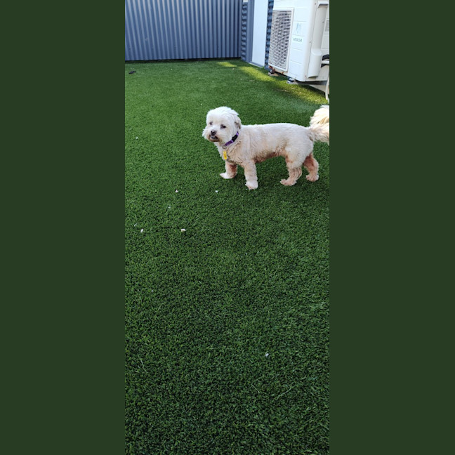 Photo of Roxy