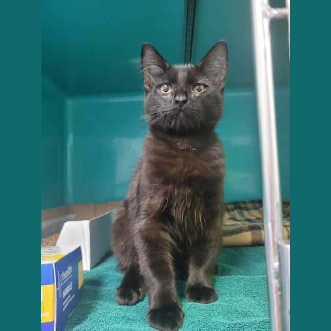 Photo of Bruce Wayne