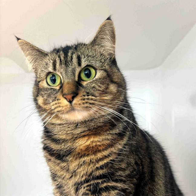 Photo of Maisie Sta013131