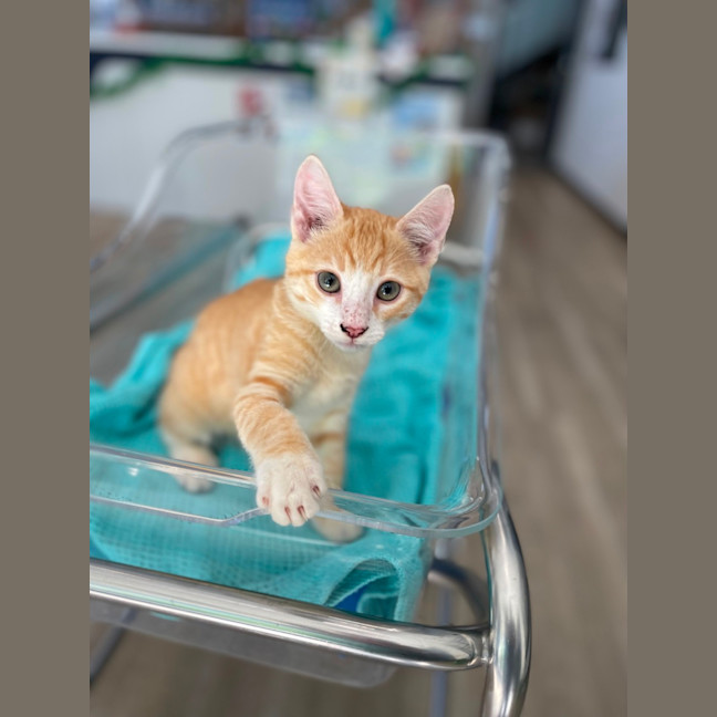 Photo of Marm