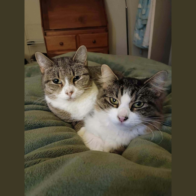 Photo of Munchkin