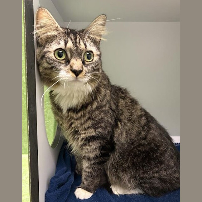 Photo of Miss Moppet