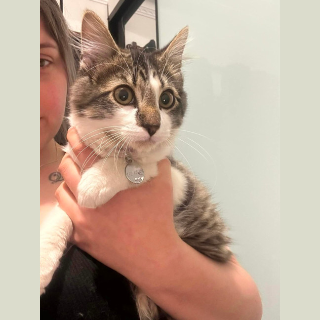 Photo of Optimus Prime