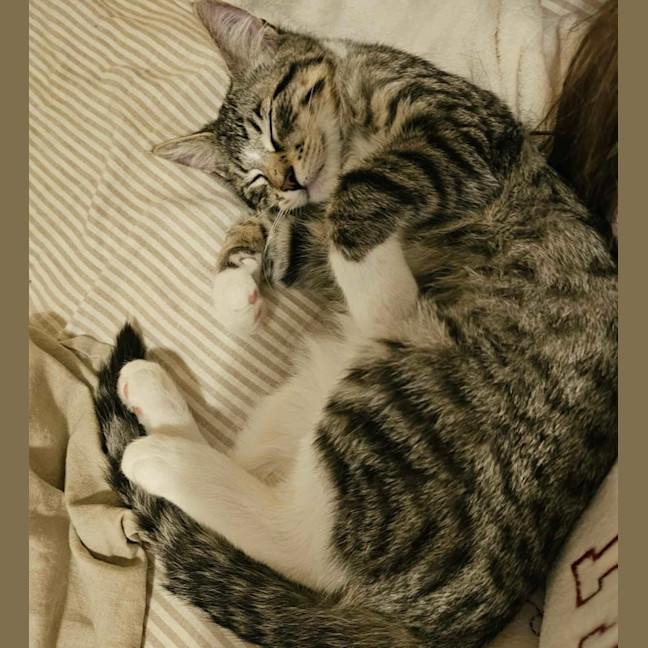 Photo of Truffle & Faun 