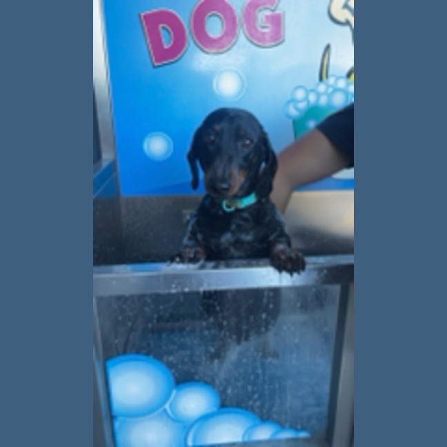Photo of Max
