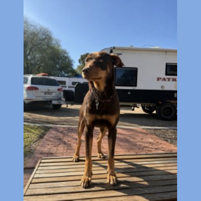 Photo of Ellie