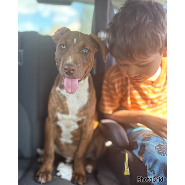 Photo of Bodhi