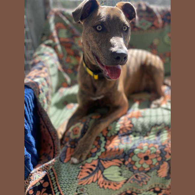 Photo of Sasha